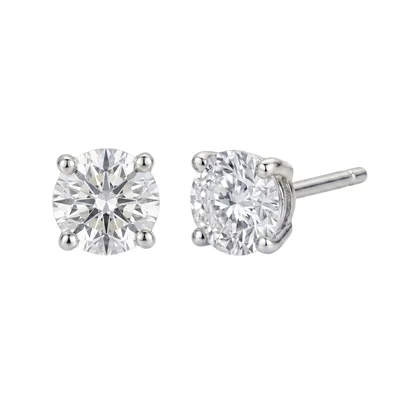 עגילים בסקט זהב לבן